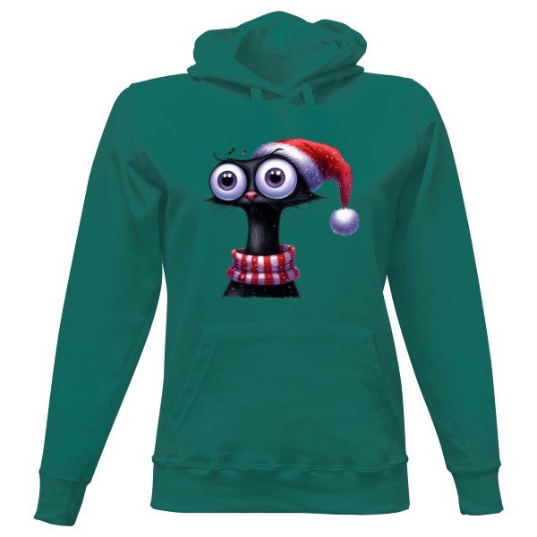 santa kočička