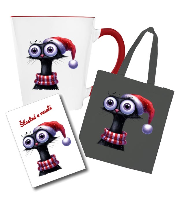 santa kočička