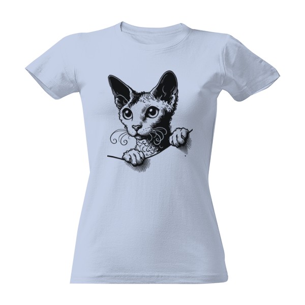 Zvědavej Cornish Rex